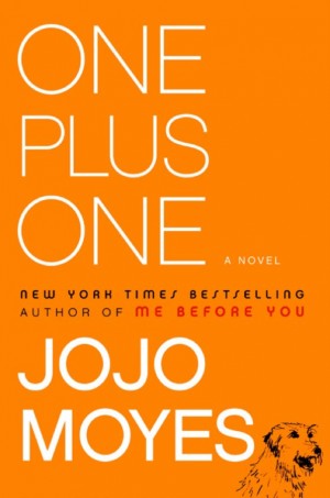 one plus one book