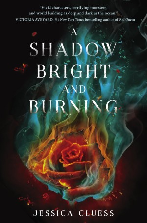 A Shadow Bright and Burning