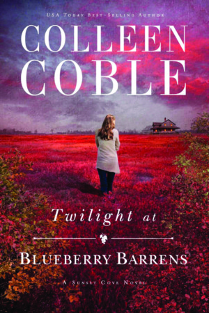 Twilight at Blueberry Barrens