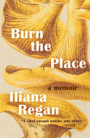 Burn the Place